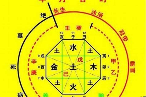 八字喜木|什么是八字喜用神，八字喜用神为木改运方法——天玄网